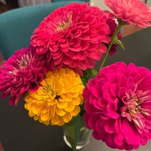 Meet your Posher, Karina